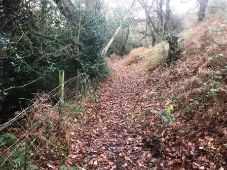 Heading towards Stilesmeadow Farm