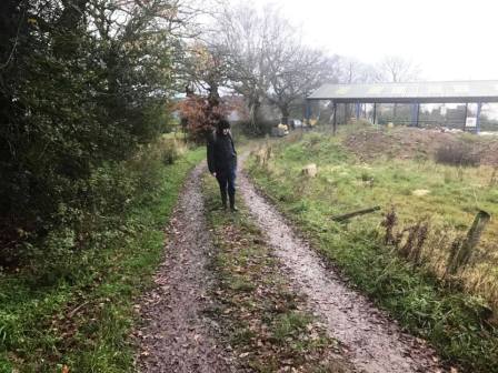 Approaching Stilemeadow Farm