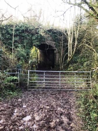 Muddy footpath under the disused railway line