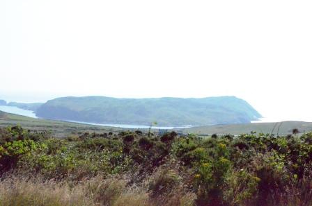 Calf of Man from Mull Hill, by Edward