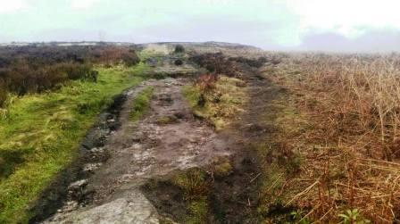 Walking up Cloud on 17th February 2017