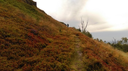 Climbing up towards the cliffs