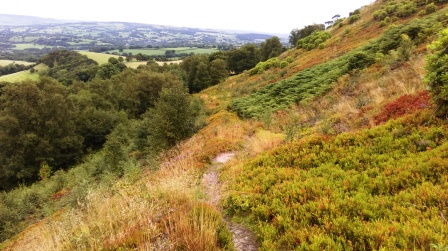 Looking back down the path