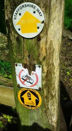 No cycling