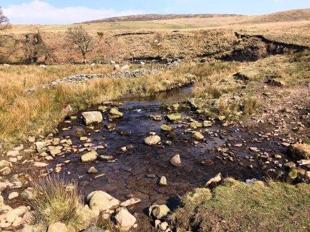 Sunny Dane Valley