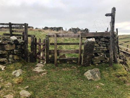 You will have just passed through this gate onto a lane