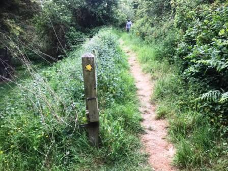 Dane Valley Way