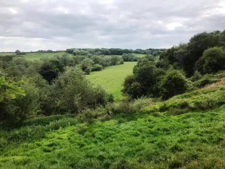 View over the Dane Valley