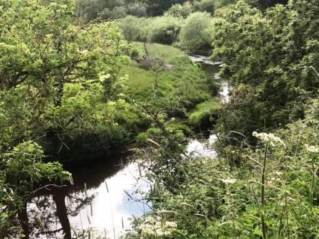A rare glance at the River Dane!