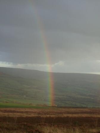 Rainbow in the view