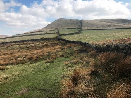 Turn right to climb Mount Famine
