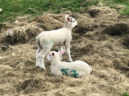 Meet the locals!