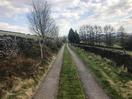 Footpath track