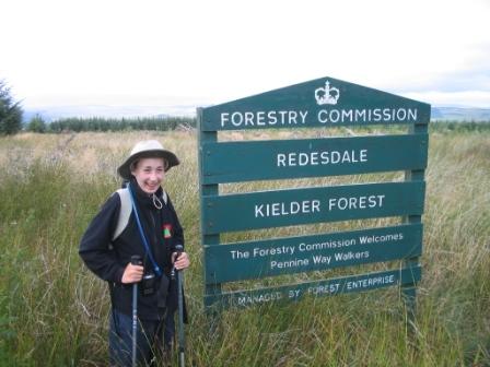 Entering back into the Kielder Forest