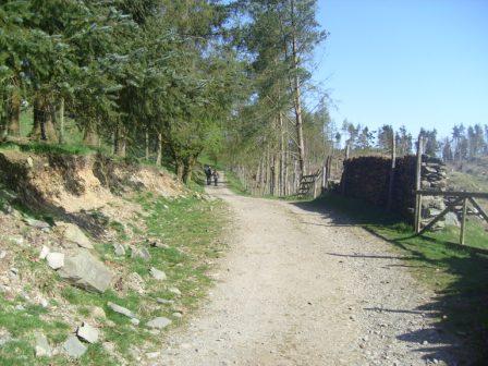 Tom & Liam head up the track towards Claife Heights