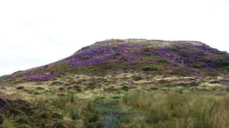 A very colourful fell!