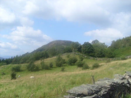 Looking to Gummers How from the road