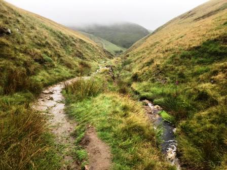 Footpath down Cumberland Brook