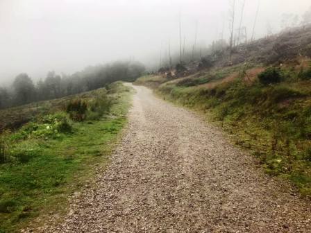 Macclesfield Forest