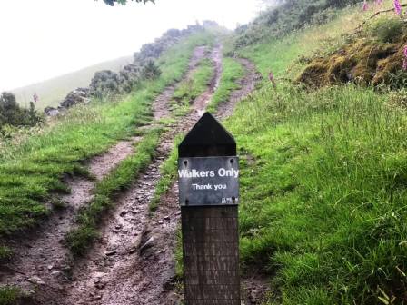 Walkers only - except a cyclist came head on at me at great speed just before I took this photo!