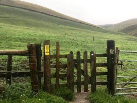 Between Torgate Farm and Chest Hollow