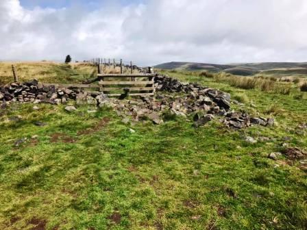 Between Shutlingsloe and Standing Stone