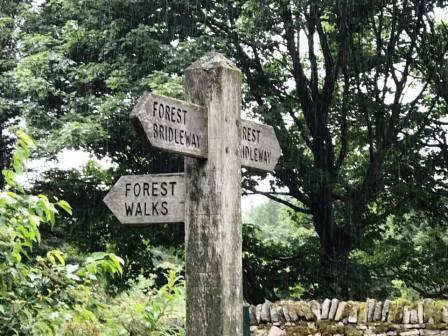 Signpost at Standing Stone