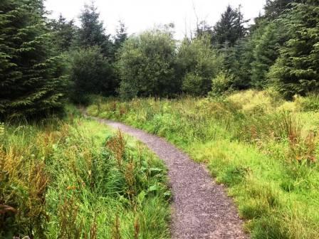 Pleasant path through Macc Forest
