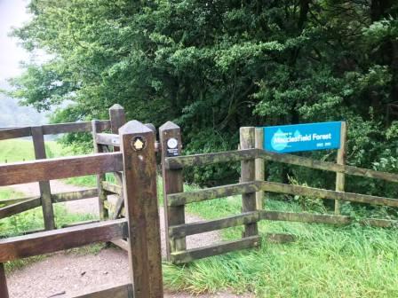 Leaving the Macclesfield Forest