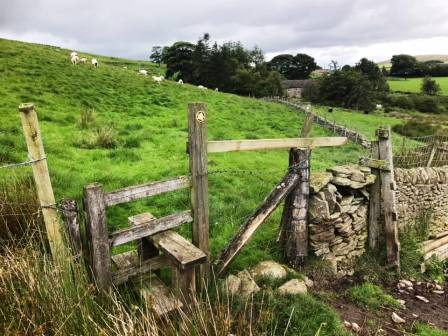 Public footpath from Charity Lane to Buxton Road