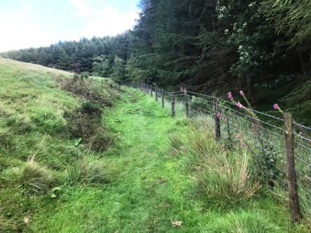 Starting the climb to Shining Tor from Lamaload