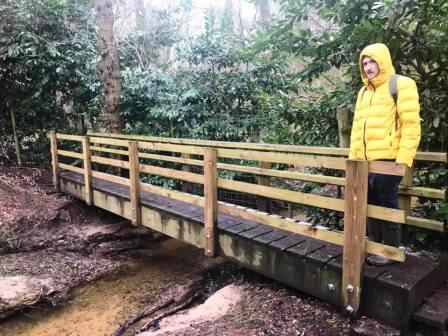 Footbridge in Big Wood