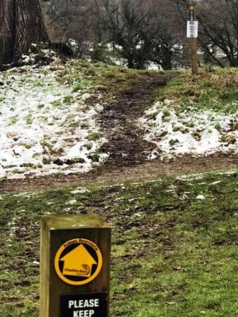 Path across the course is well waymarked