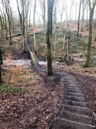 Tytherington Wood