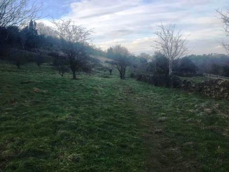 Cliff Hill