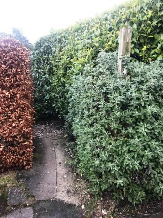 A well-disguised (for colourblind people) path in Higher Hurdsfield