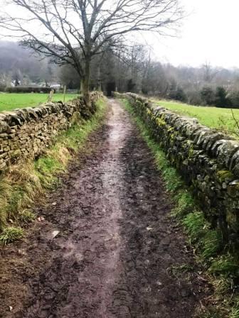 Footpath at Higher Fence
