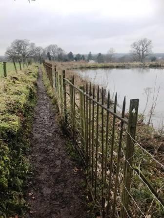 Walking beside the reservoir at Lark Hall