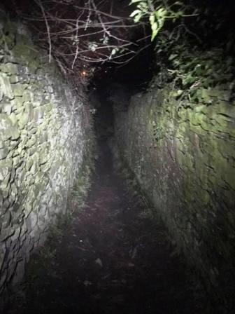 Another ginnel