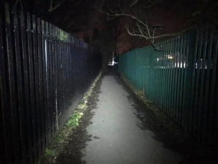 Ginnel down to Western Avenue
