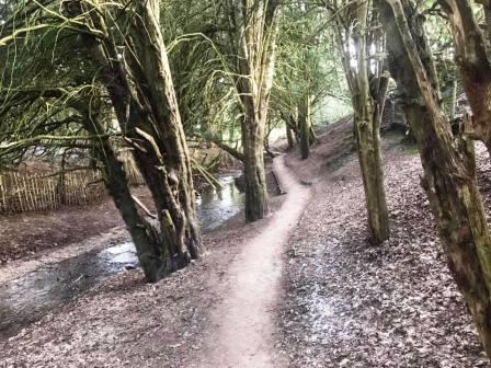 Lovely path behind Marlborough School