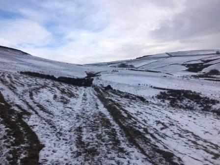 Contouring around towards Walker Barn