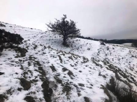 Progressing towards Macclesfield Forest