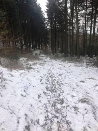 Entering Macclesfield Forest