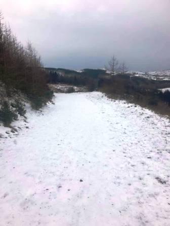 Path in Macclesfield Forest