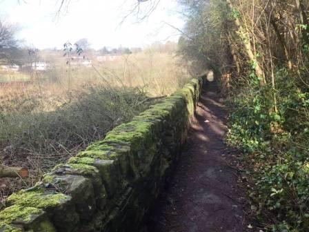 Public footpath connecting to the Middlewood Way.  Town houses on Beech Farm Drive visible in the distance.