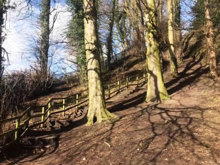 Steps up towards Beech Hall