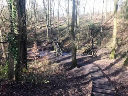 Route across the low part of Tytherington Wood