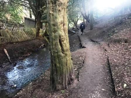 Continuing on the wooded path by the stream