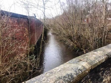 River Bollin - again!